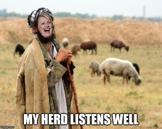 Hillary Sheep Herder | MY HERD LISTENS WELL | image tagged in hillary sheep herder | made w/ Imgflip meme maker