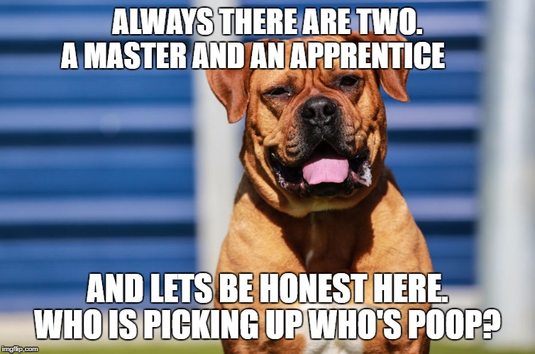thoughtful dog | ALWAYS THERE ARE TWO.                 A MASTER AND AN APPRENTICE; AND LETS BE HONEST HERE. WHO IS PICKING UP WHO'S POOP? | image tagged in sith lord,dog wisdom,dog,poop | made w/ Imgflip meme maker