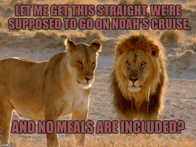 Noah's Cruise | LET ME GET THIS STRAIGHT, WE'RE SUPPOSED TO GO ON NOAH'S CRUISE, AND NO MEALS ARE INCLUDED? | image tagged in lions,noah's ark,noah's flood,flood,ark,noah | made w/ Imgflip meme maker