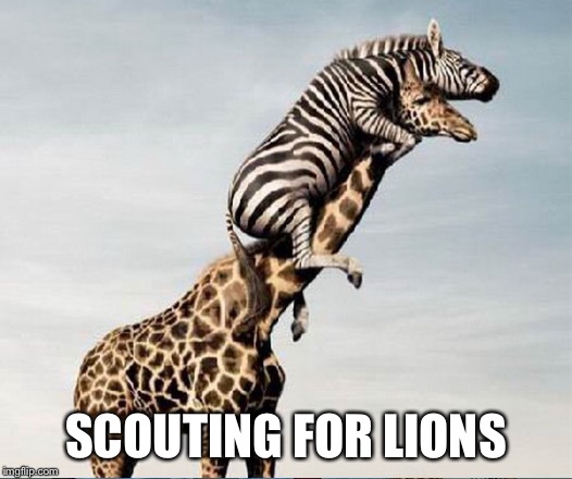 SCOUTING FOR LIONS | made w/ Imgflip meme maker