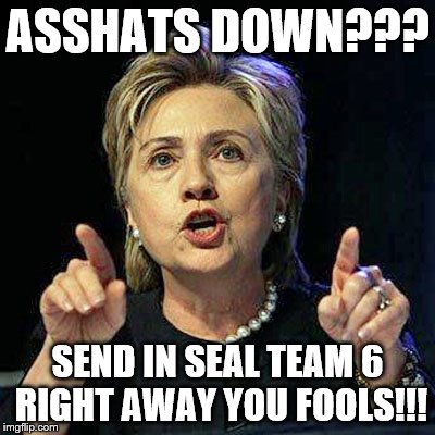 ASSHATS DOWN??? SEND IN SEAL TEAM 6 RIGHT AWAY YOU FOOLS!!! | made w/ Imgflip meme maker