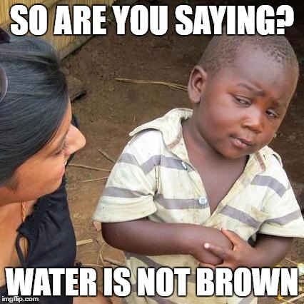 Third World Skeptical Kid Meme | SO ARE YOU SAYING? WATER IS NOT BROWN | image tagged in memes,third world skeptical kid | made w/ Imgflip meme maker