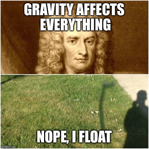 GRAVITY AFFECTS EVERYTHING; NOPE, I FLOAT | image tagged in gravity | made w/ Imgflip meme maker