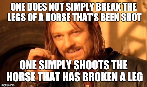 One Does Not Simply Meme | ONE DOES NOT SIMPLY BREAK THE LEGS OF A HORSE THAT'S BEEN SHOT ONE SIMPLY SHOOTS THE HORSE THAT HAS BROKEN A LEG | image tagged in memes,one does not simply | made w/ Imgflip meme maker