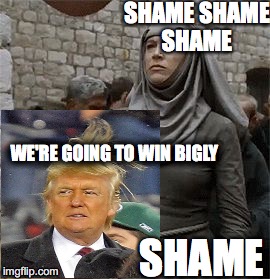 No Shame | SHAME SHAME SHAME; WE'RE GOING TO WIN BIGLY; SHAME | image tagged in shame,make donald drumpf again,i have the best words | made w/ Imgflip meme maker
