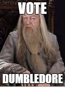 Dumbledore | VOTE; DUMBLEDORE | image tagged in dumbledore | made w/ Imgflip meme maker