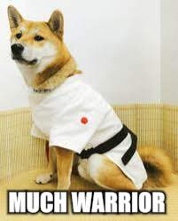 MUCH WARRIOR | made w/ Imgflip meme maker