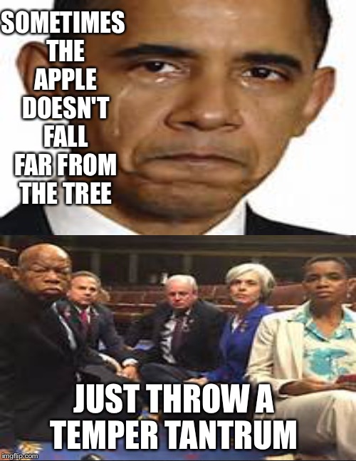 embarrassing | SOMETIMES THE APPLE DOESN'T FALL FAR FROM THE TREE; JUST THROW A TEMPER TANTRUM | image tagged in memes | made w/ Imgflip meme maker
