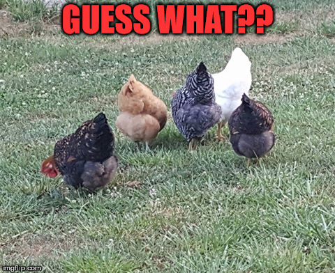 Guess What?? | GUESS WHAT?? | image tagged in guess what | made w/ Imgflip meme maker