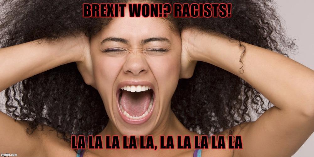 Brexit | BREXIT WON!? RACISTS! LA LA LA LA LA, LA LA LA LA LA | image tagged in brexit | made w/ Imgflip meme maker