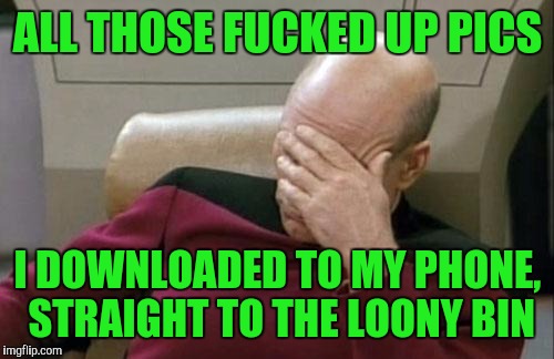 Captain Picard Facepalm Meme | ALL THOSE F**KED UP PICS I DOWNLOADED TO MY PHONE, STRAIGHT TO THE LOONY BIN | image tagged in memes,captain picard facepalm | made w/ Imgflip meme maker