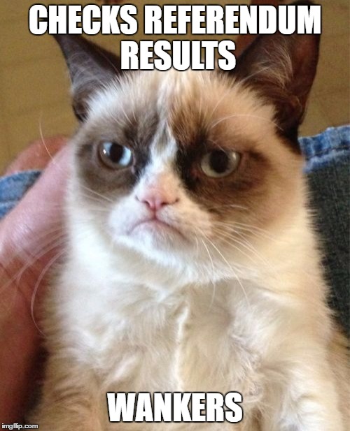 EU Referendum results | CHECKS REFERENDUM RESULTS; WANKERS | image tagged in memes,grumpy cat | made w/ Imgflip meme maker