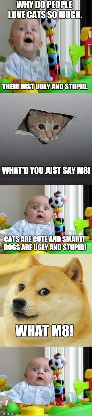 Your In Trouble M8 | WHY DO PEOPLE LOVE CATS SO MUCH. THEIR JUST UGLY AND STUPID. WHAT'D YOU JUST SAY M8! CATS ARE CUTE AND SMART! DOGS ARE UGLY AND STUPID! WHAT M8! | image tagged in doge,scared baby,ceiling cat,memes | made w/ Imgflip meme maker