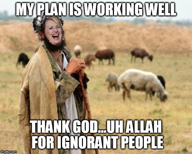 Hillary Sheep Herder | MY PLAN IS WORKING WELL THANK GOD...UH ALLAH FOR IGNORANT PEOPLE | image tagged in hillary sheep herder | made w/ Imgflip meme maker