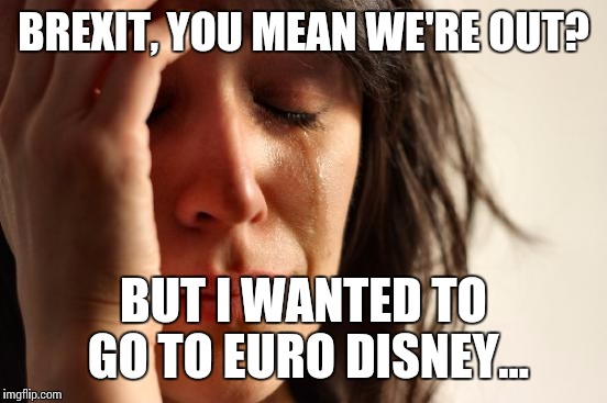 Brexit, now what? | BREXIT, YOU MEAN WE'RE OUT? BUT I WANTED TO GO TO EURO DISNEY... | image tagged in memes,first world problems,brexit,euro,disney | made w/ Imgflip meme maker