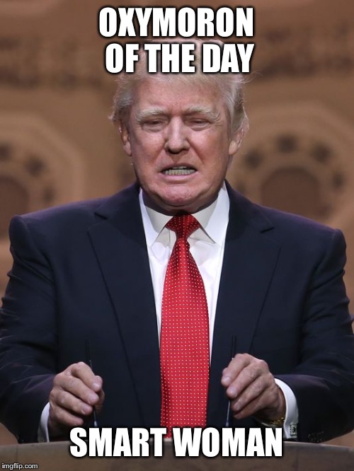 Donald Trump | OXYMORON OF THE DAY; SMART WOMAN | image tagged in donald trump | made w/ Imgflip meme maker