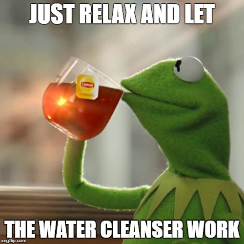But That's None Of My Business | JUST RELAX AND LET; THE WATER CLEANSER WORK | image tagged in memes,but thats none of my business,kermit the frog | made w/ Imgflip meme maker