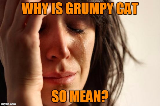 First World Problems Meme | WHY IS GRUMPY CAT SO MEAN? | image tagged in memes,first world problems | made w/ Imgflip meme maker