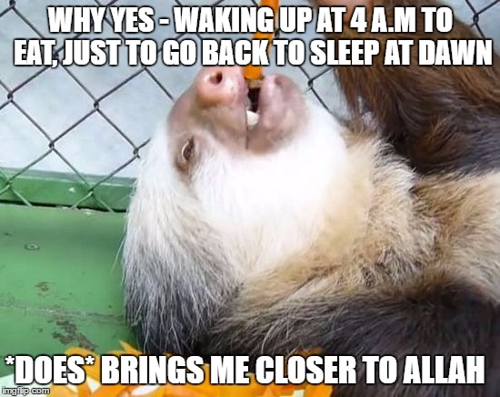 Breaking the Fast in Ramadan | WHY YES - WAKING UP AT 4 A.M TO EAT, JUST TO GO BACK TO SLEEP AT DAWN; *DOES* BRINGS ME CLOSER TO ALLAH | image tagged in memes,ramadan,sloth | made w/ Imgflip meme maker