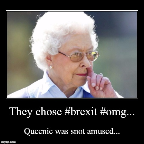 Queenie was snot amused | image tagged in funny,demotivationals | made w/ Imgflip demotivational maker