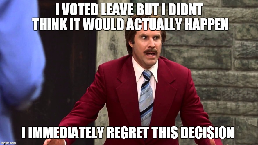  I VOTED LEAVE BUT I DIDNT THINK IT WOULD ACTUALLY HAPPEN; I IMMEDIATELY REGRET THIS DECISION | image tagged in brexit | made w/ Imgflip meme maker
