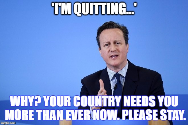 David Cameron | 'I'M QUITTING...'; WHY? YOUR COUNTRY NEEDS YOU MORE THAN EVER NOW. PLEASE STAY. | image tagged in david cameron | made w/ Imgflip meme maker