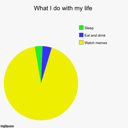 What I do with my life | image tagged in funny,pie charts,life | made w/ Imgflip chart maker