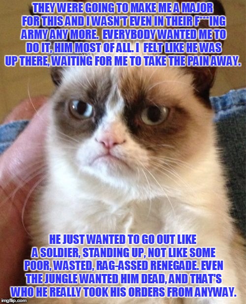 Grumpy Cat Meme | THEY WERE GOING TO MAKE ME A MAJOR FOR THIS AND I WASN'T EVEN IN THEIR
F***ING ARMY ANY MORE.  EVERYBODY WANTED ME TO DO IT, HIM MOST OF ALL. I 
FELT LIKE HE WAS UP THERE, WAITING FOR ME TO TAKE THE PAIN AWAY. HE JUST
WANTED TO GO OUT LIKE A SOLDIER, STANDING UP, NOT LIKE SOME POOR, WASTED,
RAG-ASSED RENEGADE. EVEN THE JUNGLE WANTED HIM DEAD, AND THAT'S WHO
HE REALLY TOOK HIS ORDERS FROM ANYWAY. | image tagged in memes,grumpy cat | made w/ Imgflip meme maker