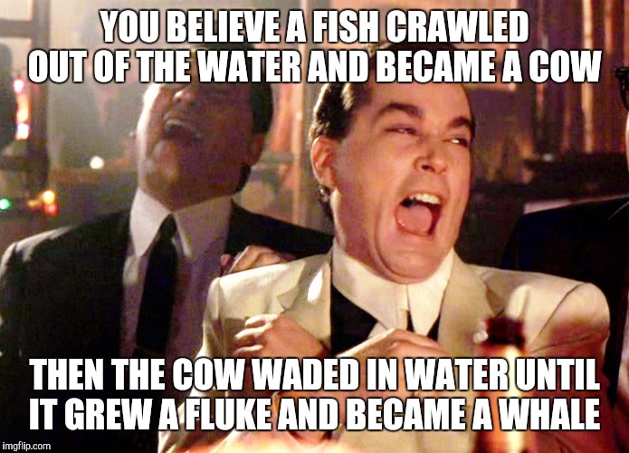 Good Fellas Hilarious | YOU BELIEVE A FISH CRAWLED OUT OF THE WATER AND BECAME A COW; THEN THE COW WADED IN WATER UNTIL IT GREW A FLUKE AND BECAME A WHALE | image tagged in memes,good fellas hilarious | made w/ Imgflip meme maker