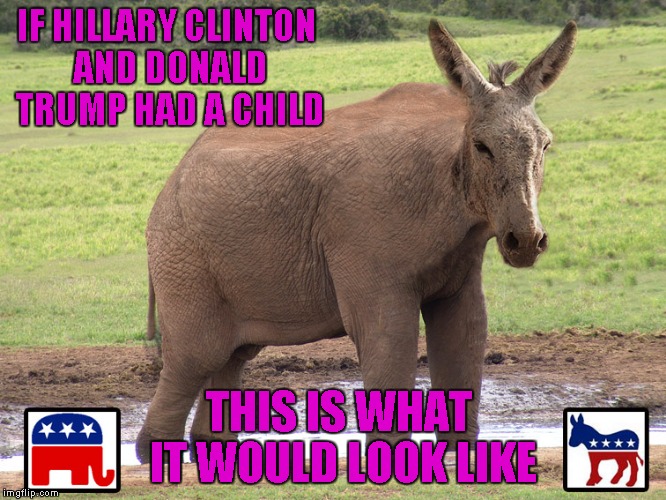 What if those two were on "the same side"...imagine that! | IF HILLARY CLINTON AND DONALD TRUMP HAD A CHILD; THIS IS WHAT IT WOULD LOOK LIKE | image tagged in elephant donkey hybrid,memes,democrat vs republican,funny,funny animals,animals | made w/ Imgflip meme maker