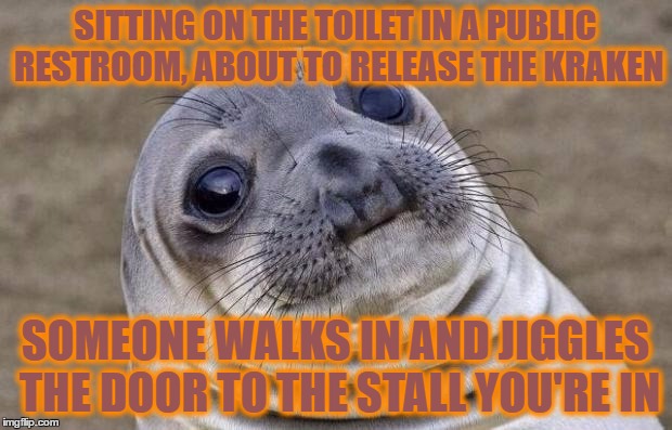 Awkward Moment Sealion Meme | SITTING ON THE TOILET IN A PUBLIC RESTROOM, ABOUT TO RELEASE THE KRAKEN; SOMEONE WALKS IN AND JIGGLES THE DOOR TO THE STALL YOU'RE IN | image tagged in memes,awkward moment sealion | made w/ Imgflip meme maker
