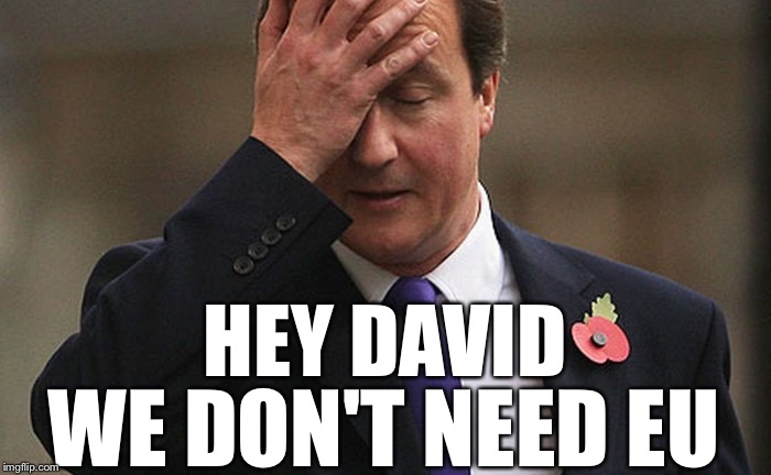 David McDaveface | HEY DAVID; WE DON'T NEED EU | image tagged in david cameron,memes,uk,great britain,ye olde englishman | made w/ Imgflip meme maker