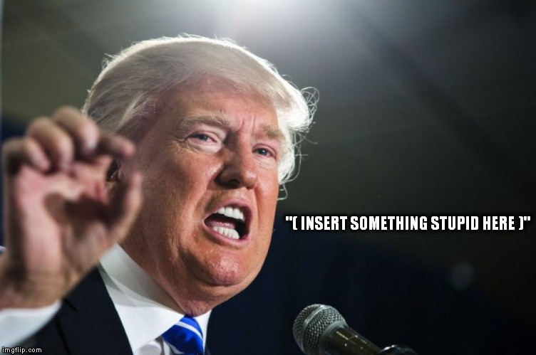 (Just getting ready for when Trump is president) | "( INSERT SOMETHING STUPID HERE )" | image tagged in donald trump,memes | made w/ Imgflip meme maker