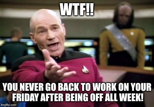 Picard Wtf | WTF!! YOU NEVER GO BACK TO WORK ON YOUR FRIDAY AFTER BEING OFF ALL WEEK! | image tagged in memes,picard wtf | made w/ Imgflip meme maker