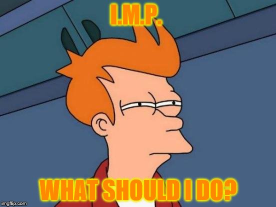 Futurama Fry | I.M.P. WHAT SHOULD I DO? | image tagged in memes,futurama fry | made w/ Imgflip meme maker