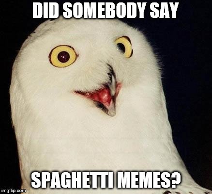 O RLY? | DID SOMEBODY SAY; SPAGHETTI MEMES? | image tagged in o rly | made w/ Imgflip meme maker