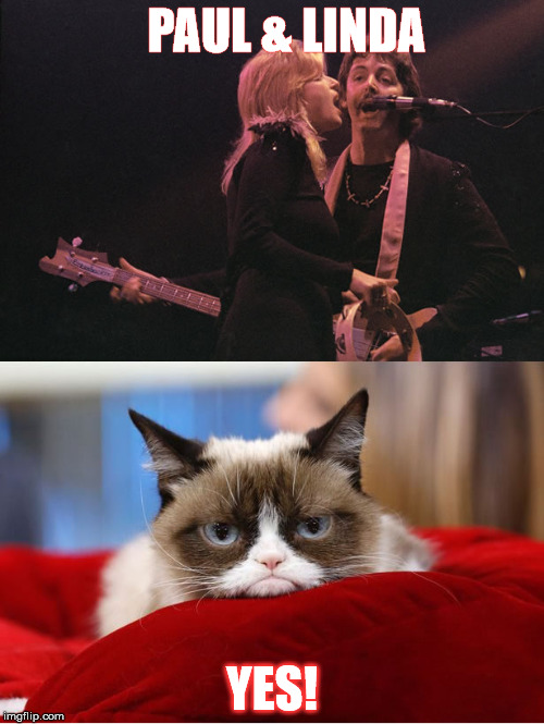 Paul McCartney vs. Grumpy Cat | PAUL & LINDA; YES! | image tagged in paul mccartney vs grumpy cat | made w/ Imgflip meme maker