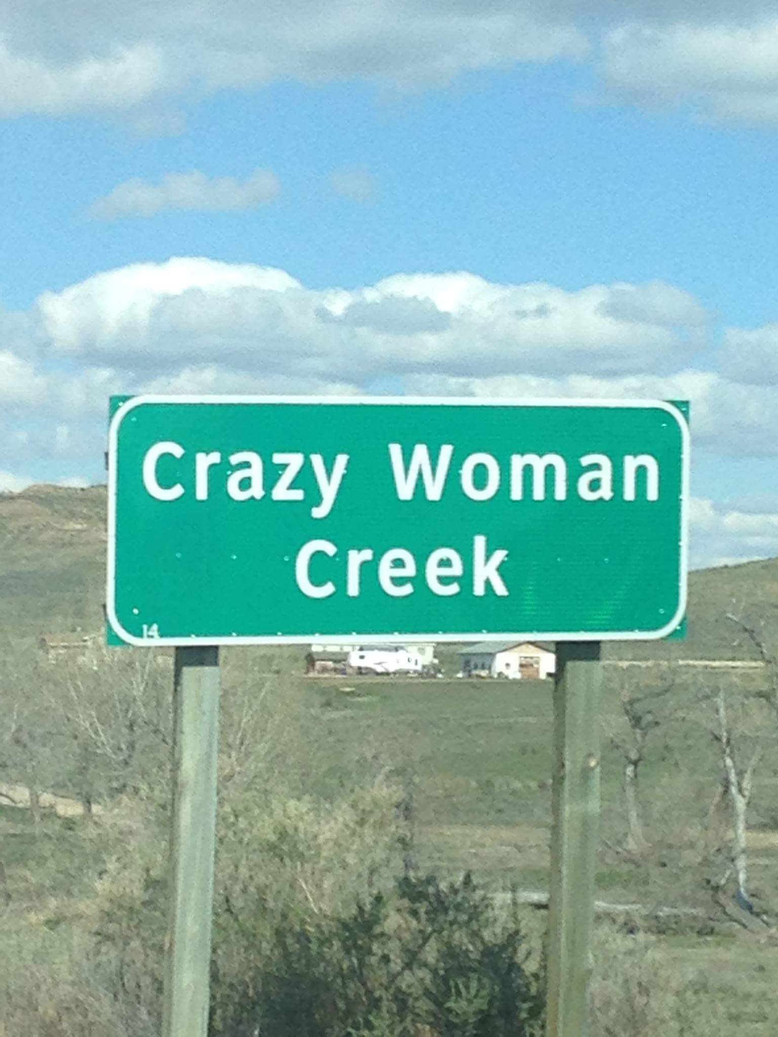 Crazy Woman Creek Blank Meme Template