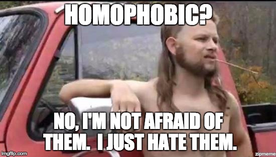 almost politically correct redneck | HOMOPHOBIC? NO, I'M NOT AFRAID OF THEM. 
I JUST HATE THEM. | image tagged in almost politically correct redneck,AdviceAnimals | made w/ Imgflip meme maker