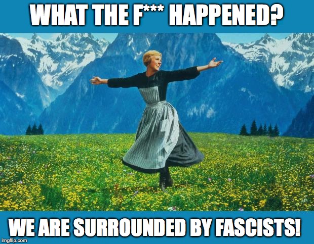 the sound of music happiness | WHAT THE F*** HAPPENED? WE ARE SURROUNDED BY FASCISTS! | image tagged in the sound of music happiness | made w/ Imgflip meme maker