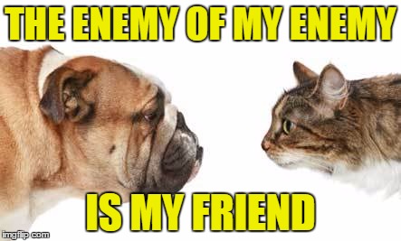 THE ENEMY OF MY ENEMY IS MY FRIEND | made w/ Imgflip meme maker