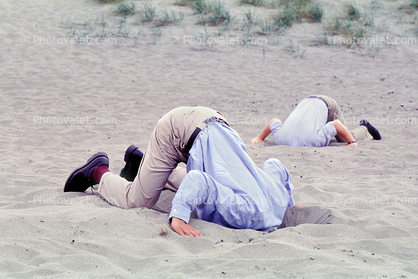 Hillary supporters burying their head in the sand Blank Meme Template