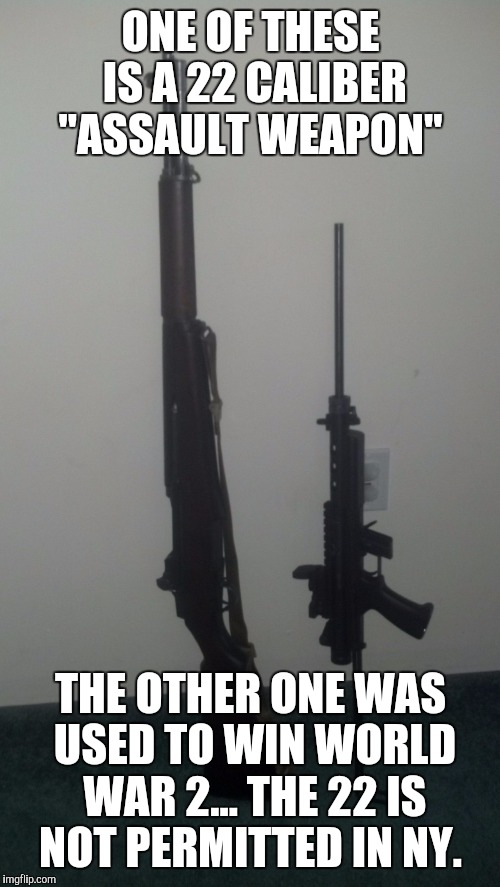 Assault weapons?  | ONE OF THESE IS A 22 CALIBER "ASSAULT WEAPON" THE OTHER ONE WAS USED TO WIN WORLD WAR 2... THE 22 IS NOT PERMITTED IN NY. | image tagged in assault weapons | made w/ Imgflip meme maker