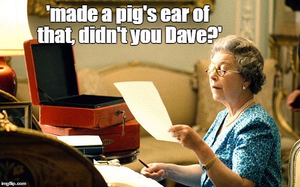 Pig's Ear | 'made a pig's ear of that, didn't you Dave?' | image tagged in eureferendum,queen elizabeth,vote leave,david cameron,funny,politics | made w/ Imgflip meme maker