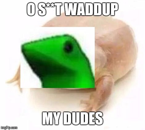 My Dudes | O S**T WADDUP; MY DUDES | image tagged in my dudes | made w/ Imgflip meme maker