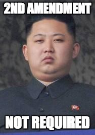 Kim Jong Un | 2ND AMENDMENT; NOT REQUIRED | image tagged in kim jong un | made w/ Imgflip meme maker