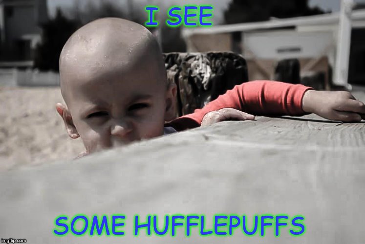 I SEE; SOME HUFFLEPUFFS | image tagged in connor meme | made w/ Imgflip meme maker