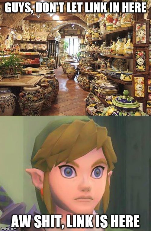 zelda | GUYS, DON'T LET LINK IN HERE; AW SHIT, LINK IS HERE | image tagged in zelda | made w/ Imgflip meme maker