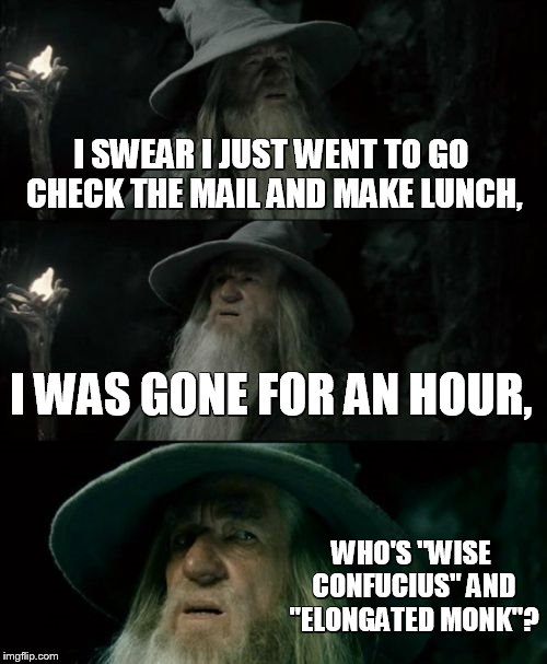 Confused Gandalf Meme |  I SWEAR I JUST WENT TO GO CHECK THE MAIL AND MAKE LUNCH, I WAS GONE FOR AN HOUR, WHO'S "WISE CONFUCIUS" AND "ELONGATED MONK"? | image tagged in memes,confused gandalf | made w/ Imgflip meme maker