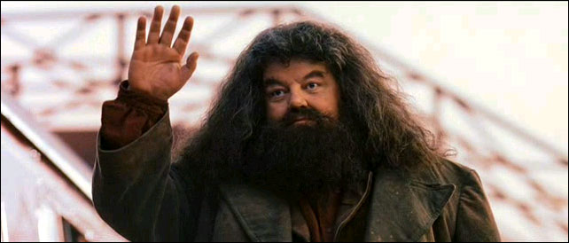 Hagrid_cheeriofelicia Blank Meme Template